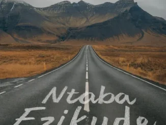 Msay Wedding Films - Ntaba Ezikude