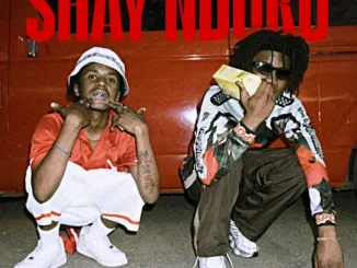 YungkiddReezy - SHAY' NDUKU