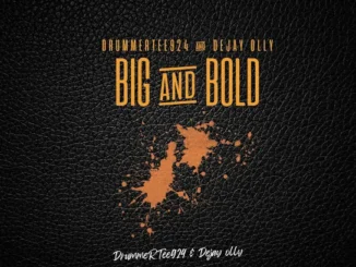 DrummeRTee924 - Bridged System 10.1