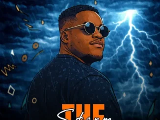 DJ Tears PLK - The Storm